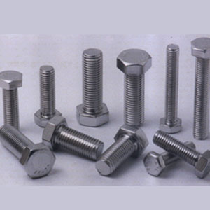 Hastelloy Fasteners