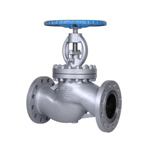 Globe Valve